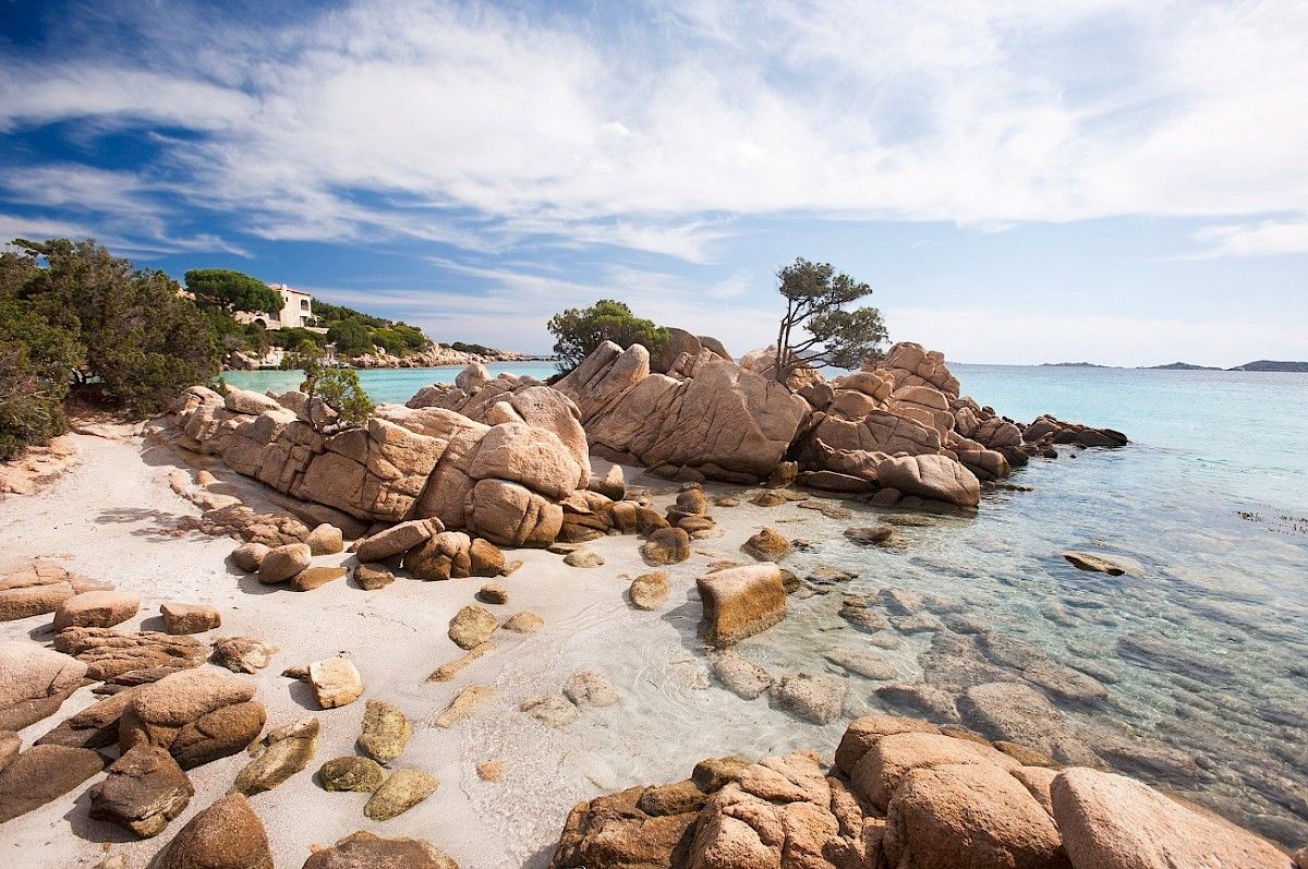 contact-yachts-210310-023282-001