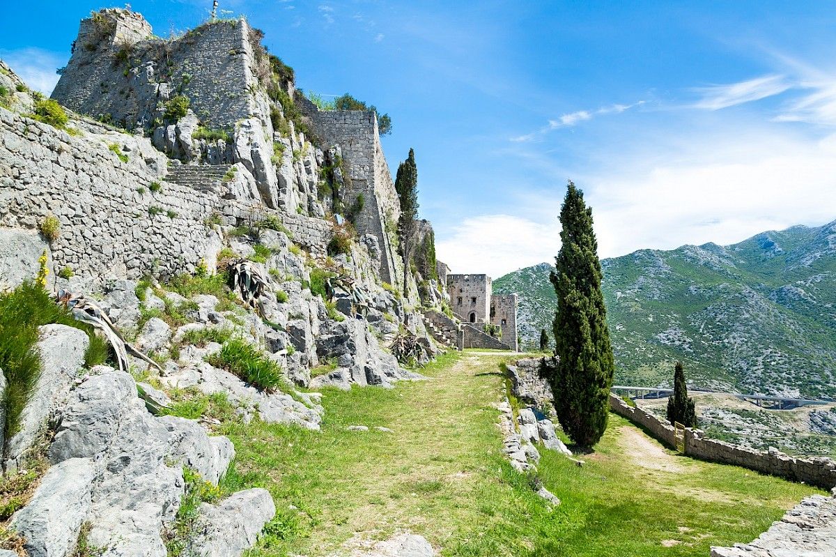 contact-yachts-210310-023353-001