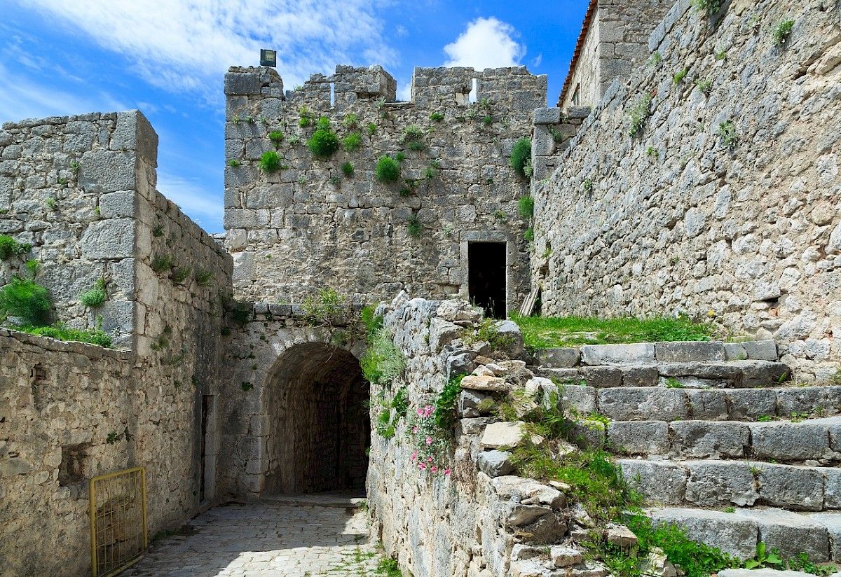 contact-yachts-210310-023356-001