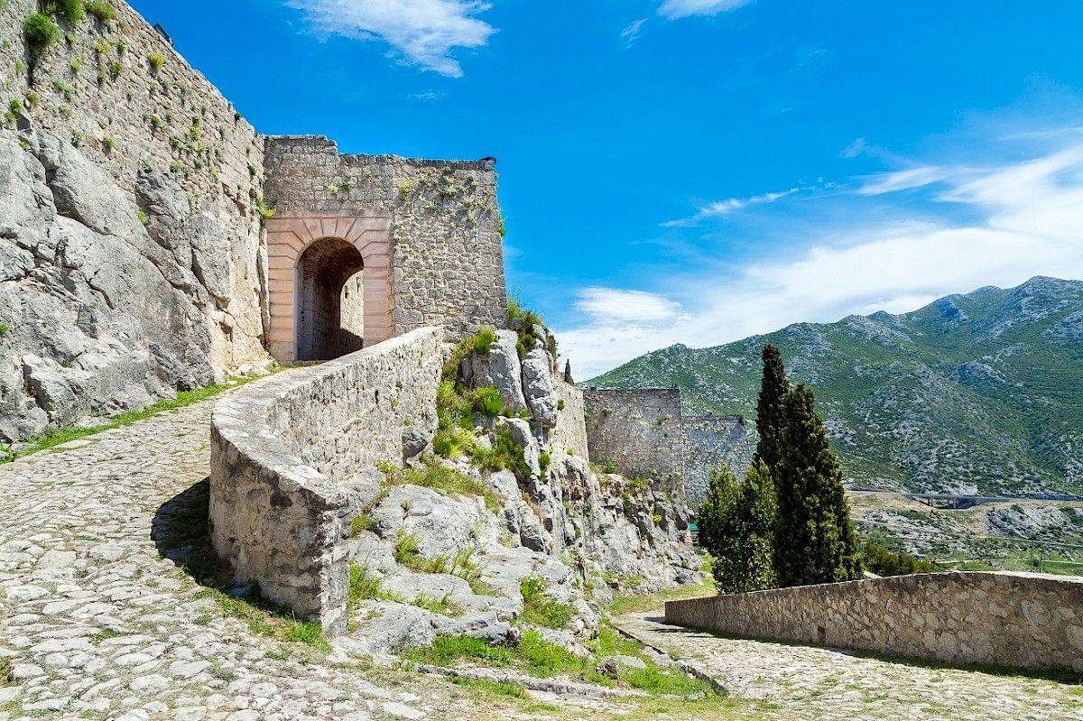 contact-yachts-210310-023361-001