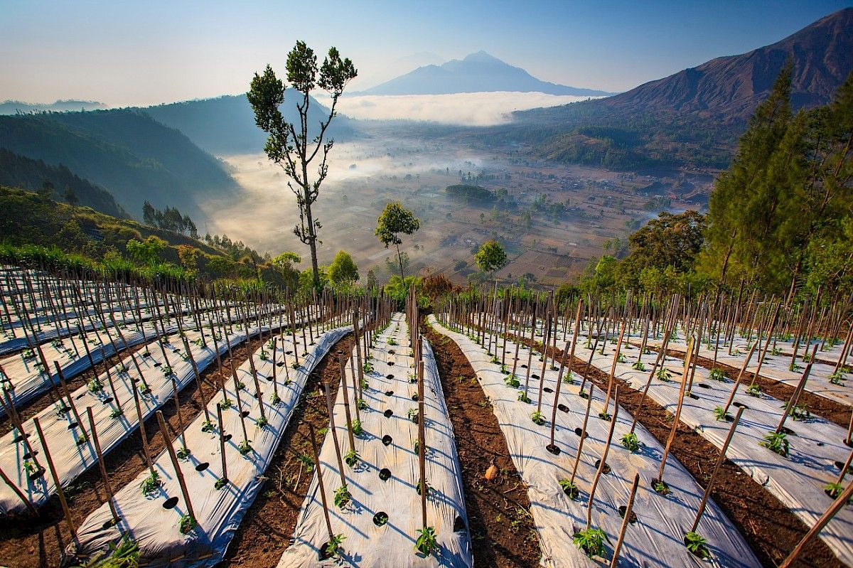 contact-yachts-210310-023589-001