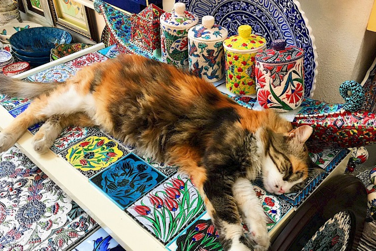 Bodrum Yacht Charter Guide - Rent a Yacht for Vacation in Turkey