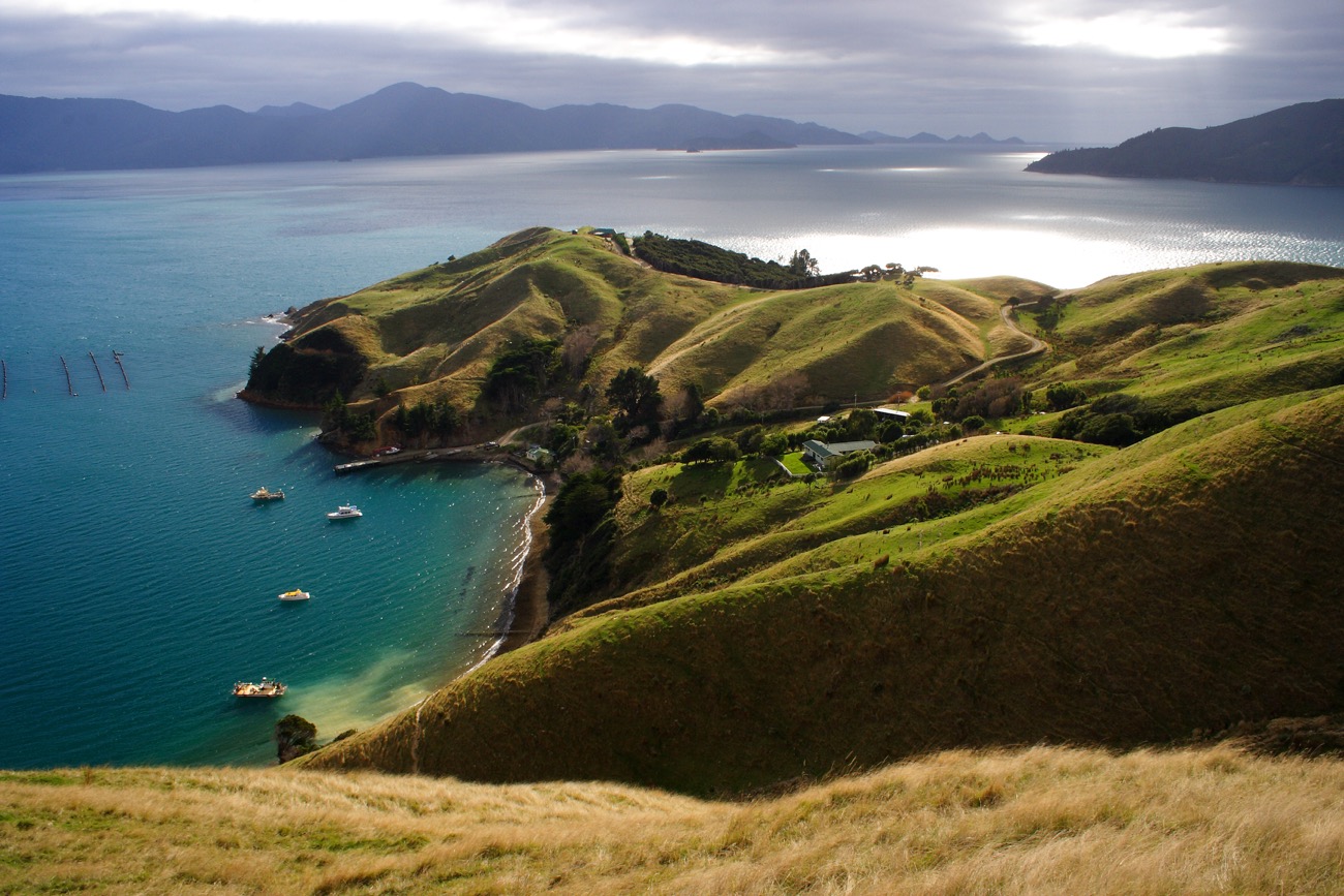 yacht travel in NZ